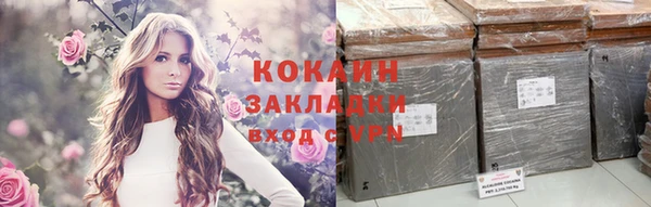 крисы Армянск