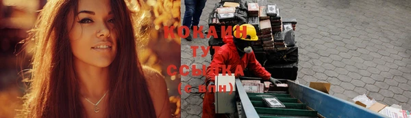 крисы Аркадак