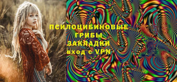крисы Аркадак
