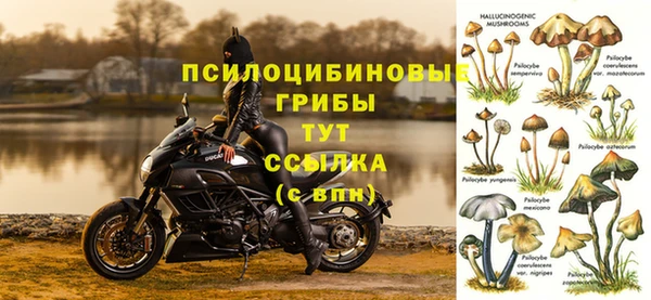 крисы Аркадак
