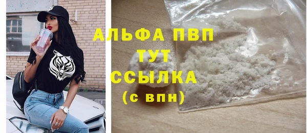 крисы Аркадак