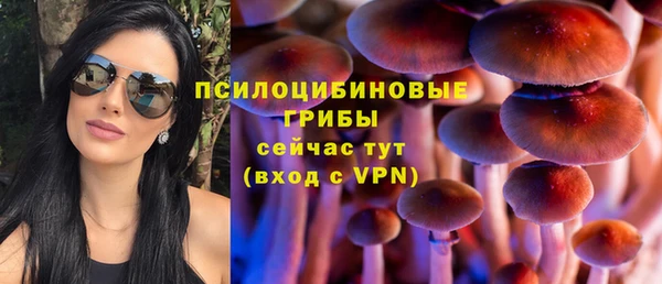 крисы Аркадак