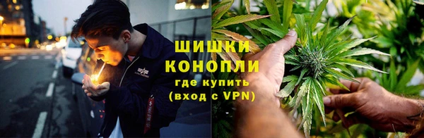крисы Армянск