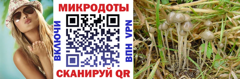 Галлюциногенные грибы MAGIC MUSHROOMS что такое Узловая